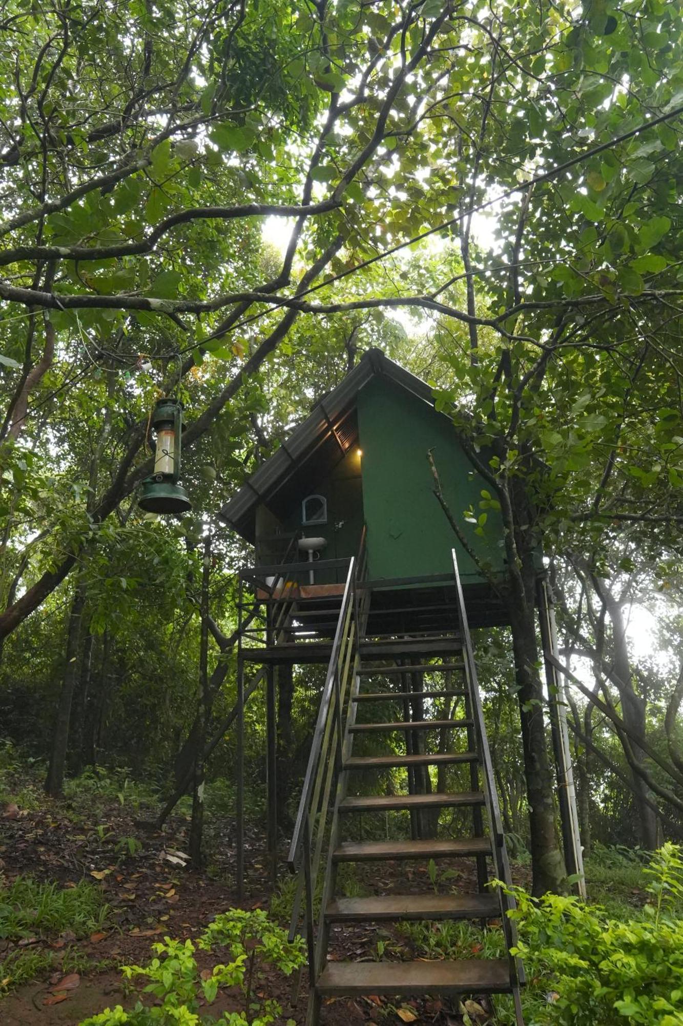Regina Silva Camping & Nature Resort Paithalmala 外观 照片